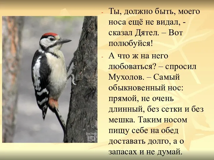 Ты, должно быть, моего носа ещё не видал, - сказал Дятел. –