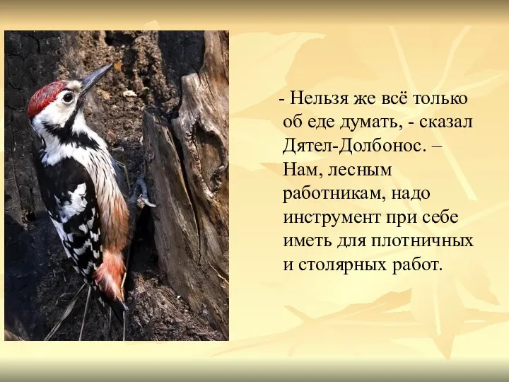 - Нельзя же всё только об еде думать, - сказал Дятел-Долбонос. –