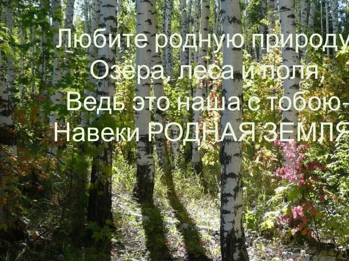 Любите родную природу- Озёра, леса и поля, Ведь это наша с тобою- Навеки РОДНАЯ ЗЕМЛЯ!