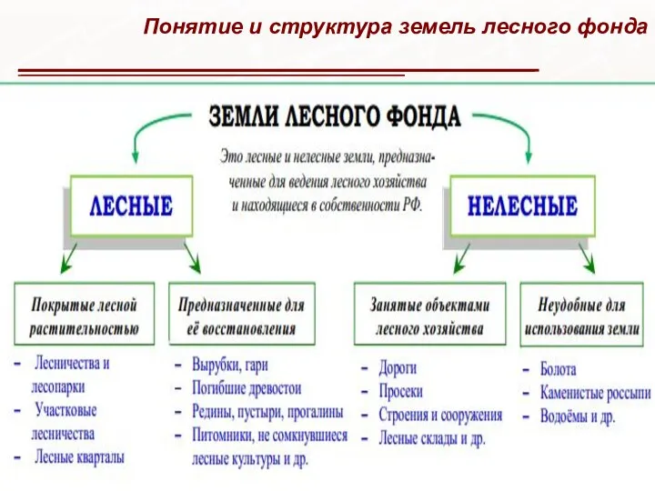 Понятие и структура земель лесного фонда