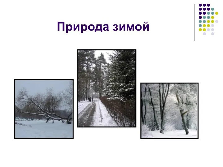 Природа зимой