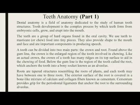 Teeth Anatomy (Part 1) Dental anatomy is a field of anatomy dedicated