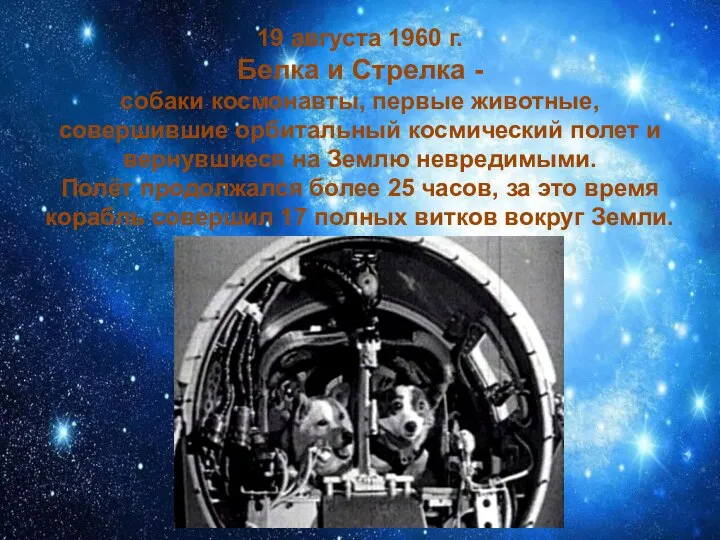 19 августа 1960 г. Белка и Стрелка - собаки космонавты, первые животные,