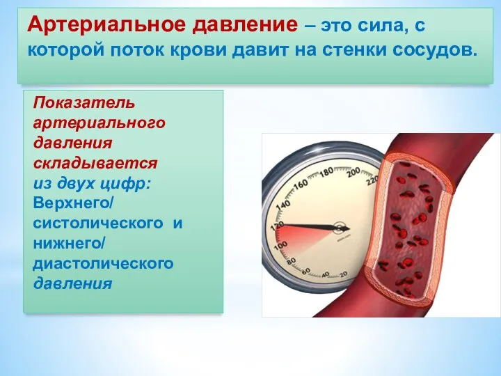 Артериальное давление – это сила, с которой поток крови давит на стенки