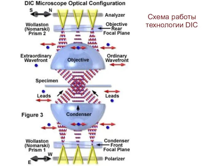 Схема работы технологии DIC