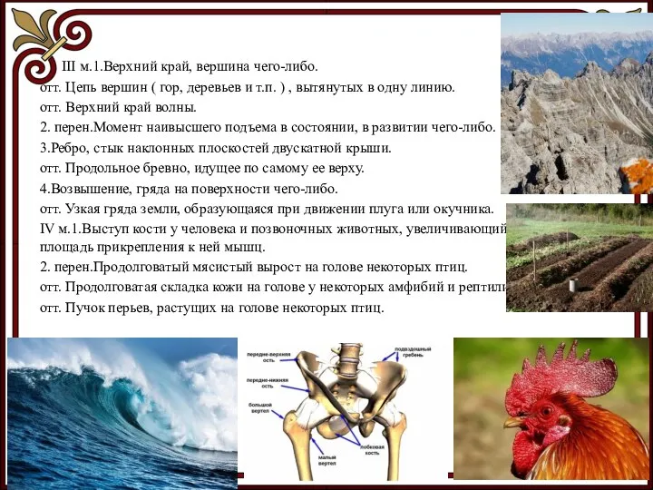 III м.1.Верхний край, вершина чего-либо. отт. Цепь вершин ( гор, деревьев и