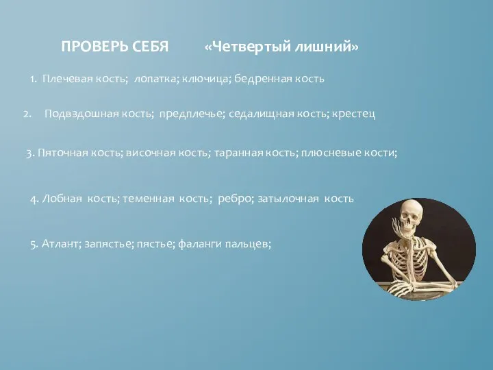 ПРОВЕРЬ СЕБЯ «Четвертый лишний» 1. Плечевая кость; лопатка; ключица; бедренная кость Подвздошная