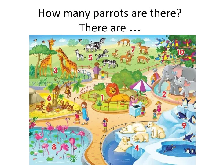 How many parrots are there? There are …