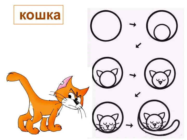 кошка