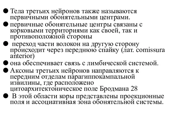 Тела третьих нейронов также называются первичными обонятельными центрами. первичные обонятельные центры связаны