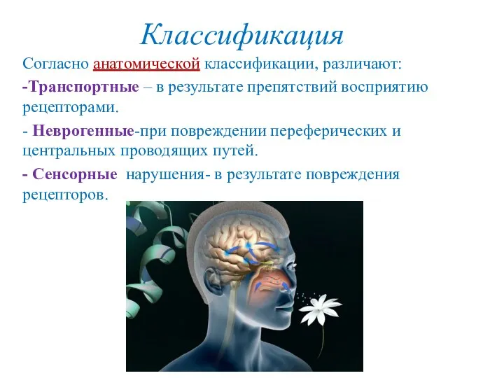 Классификация Согласно анатомической классификации, различают: -Транспортные – в результате препятствий восприятию рецепторами.