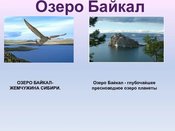 Озеро Байкал ОЗЕРО БАЙКАЛ- ЖЕМЧУЖИНА СИБИРИ. Озеро Байкал - глубочайшее пресноводное озеро планеты