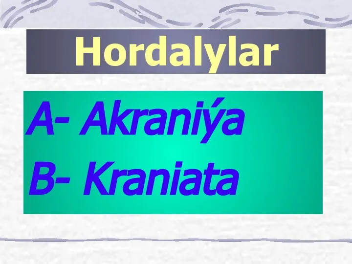 A- Akraniýa B- Kraniata Hordalylar
