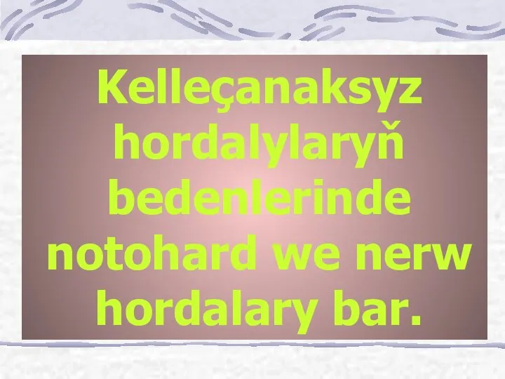 Kelleçanaksyz hordalylaryň bedenlerinde notohard we nerw hordalary bar.