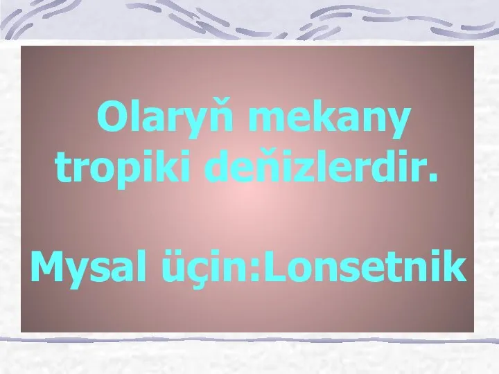 Olaryň mekany tropiki deňizlerdir. Mysal üçin:Lonsetnik