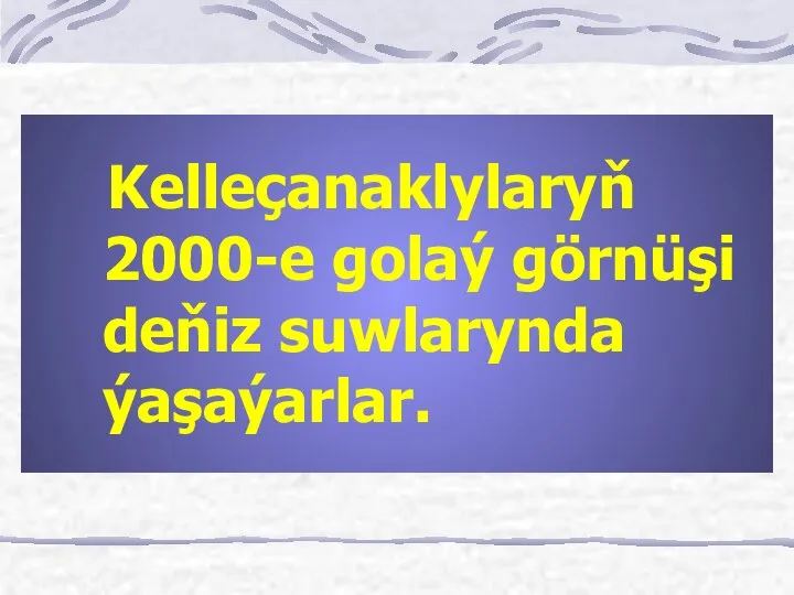 Kelleçanaklylaryň 2000-e golaý görnüşi deňiz suwlarynda ýaşaýarlar.