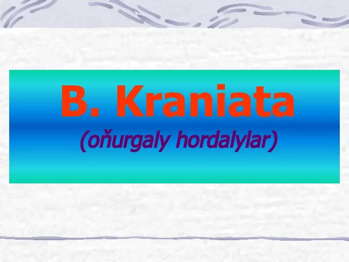 B. Kraniata (oňurgaly hordalylar)