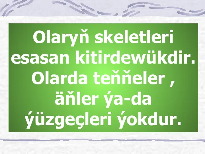 Olaryň skeletleri esasan kitirdewükdir. Olarda teňňeler , äňler ýa-da ýüzgeçleri ýokdur.