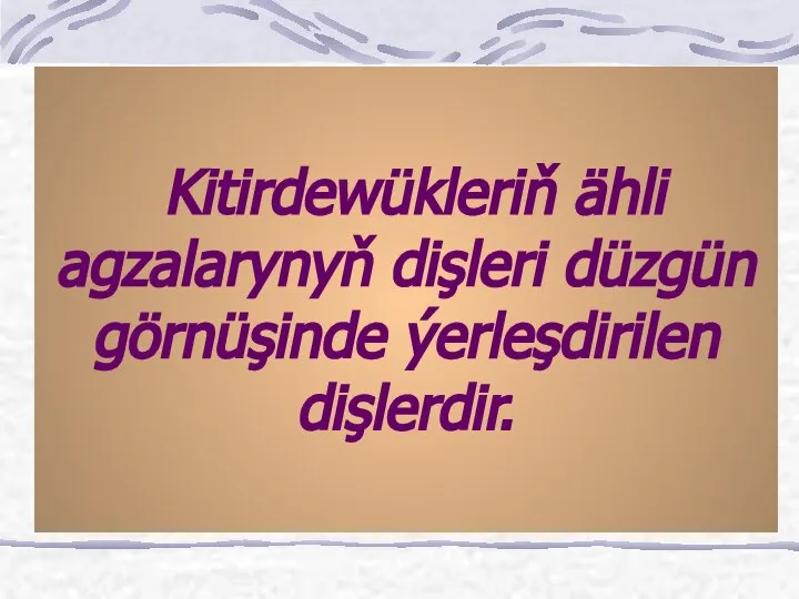 Kitirdewükleriň ähli agzalarynyň dişleri düzgün görnüşinde ýerleşdirilen dişlerdir.