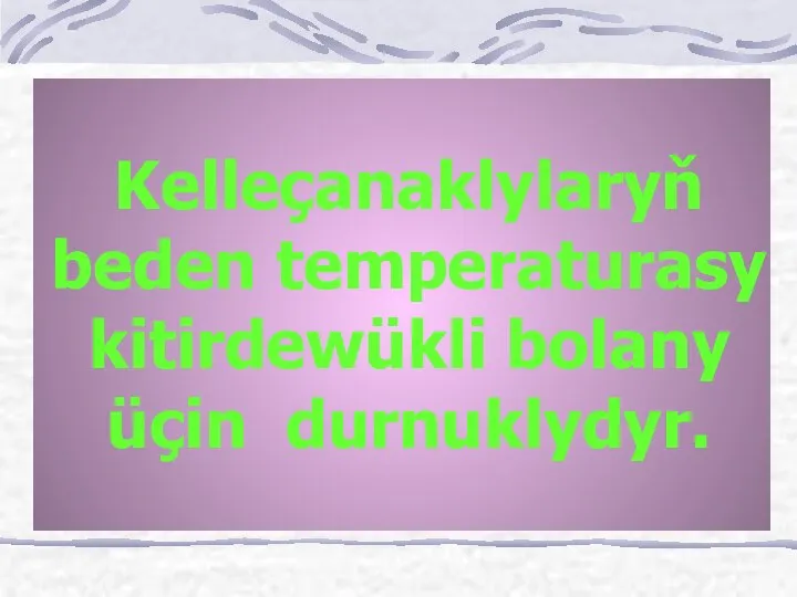 Kelleçanaklylaryň beden temperaturasy kitirdewükli bolany üçin durnuklydyr.