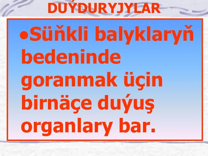 DUÝDURYJYLAR Süňkli balyklaryň bedeninde goranmak üçin birnäçe duýuş organlary bar.