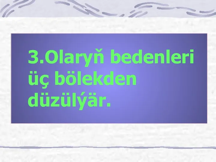 3.Olaryň bedenleri üç bölekden düzülýär.