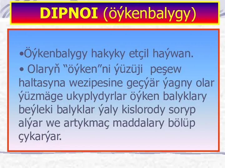 Öýkenbalygy hakyky etçil haýwan. Olaryň “öýken”ni ýüzüji peşew haltasyna wezipesine geçýär ýagny