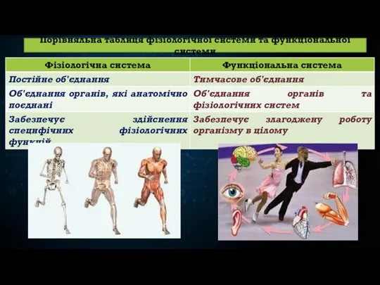 Порівняльна таблиця фізіологічної системи та функціональної системи