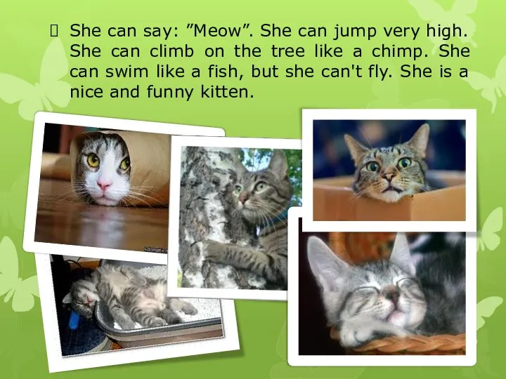 She can say: ”Meow”. She can jump very high. She can climb