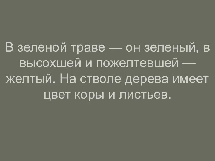 В зеленой траве — он зеленый, в высохшей и пожелтевшей — желтый.