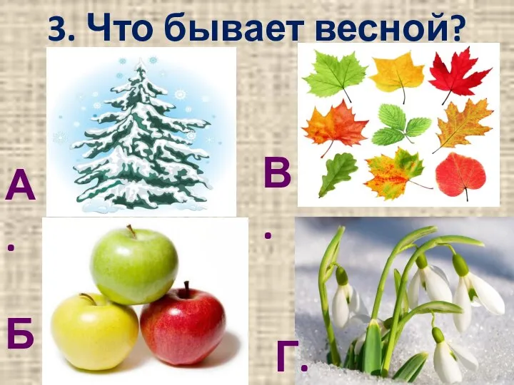 3. Что бывает весной? В. Б. А. Г.