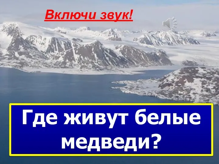 Где живут белые медведи? Включи звук!