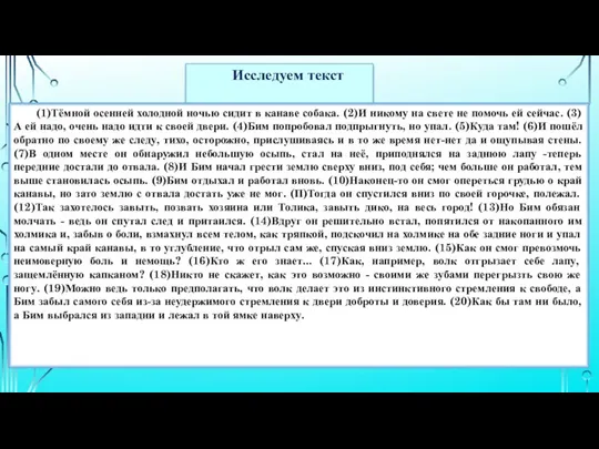 Исследуем текст (1)Тёмной осенней холодной ночью сидит в канаве собака. (2)И никому