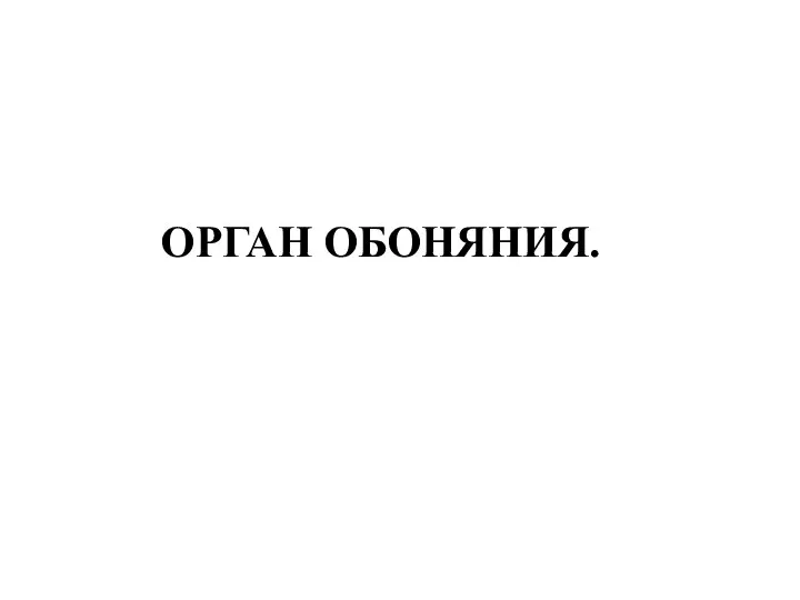 ОРГАН ОБОНЯНИЯ.