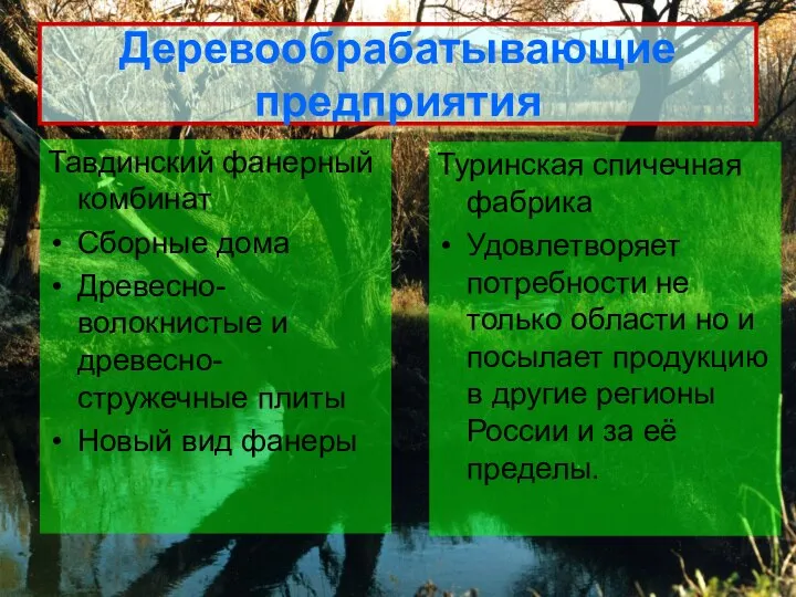 Деревообрабатывающие предприятия Тавдинский фанерный комбинат Сборные дома Древесно-волокнистые и древесно-стружечные плиты Новый