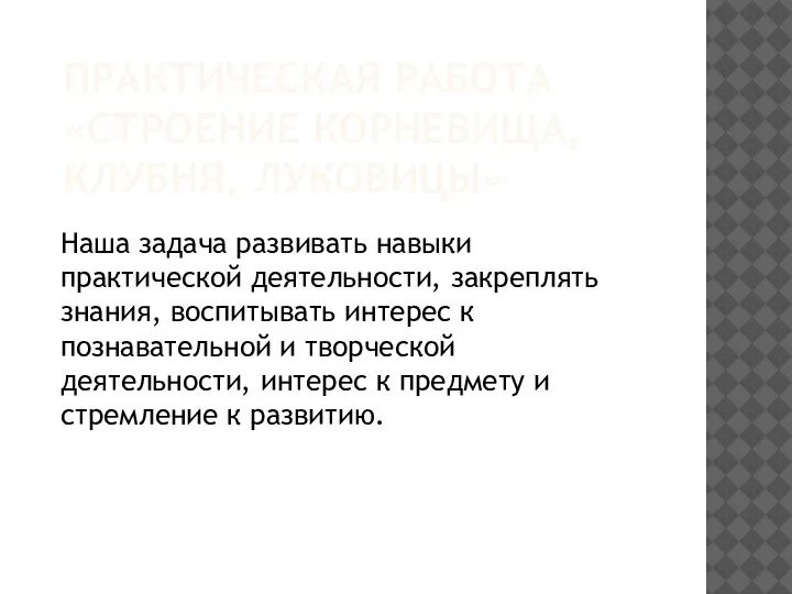 ПРАКТИЧЕСКАЯ РАБОТА «СТРОЕНИЕ КОРНЕВИЩА, КЛУБНЯ, ЛУКОВИЦЫ» Наша задача развивать навыки практической деятельности,