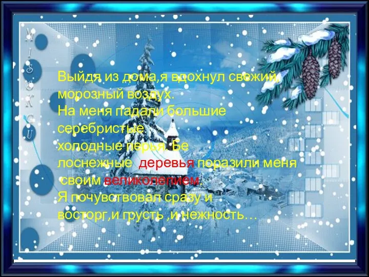 Выйдя из дома,я вдохнул свежий, морозный воздух. На меня падали большие серебристые