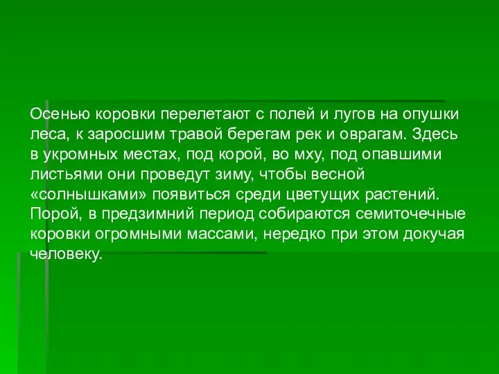 Осенью коровки перелетают с полей и лугов на опушки леса, к заросшим