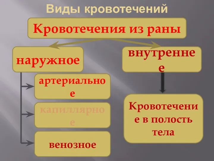 Виды кровотечений наружное внутреннее Кровотечения из раны артериальное капиллярное венозное Кровотечение в полость тела