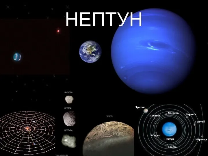 НЕПТУН За один полный оборот Нептуна вокруг Солнца наша планета совершает 164,79 оборота.
