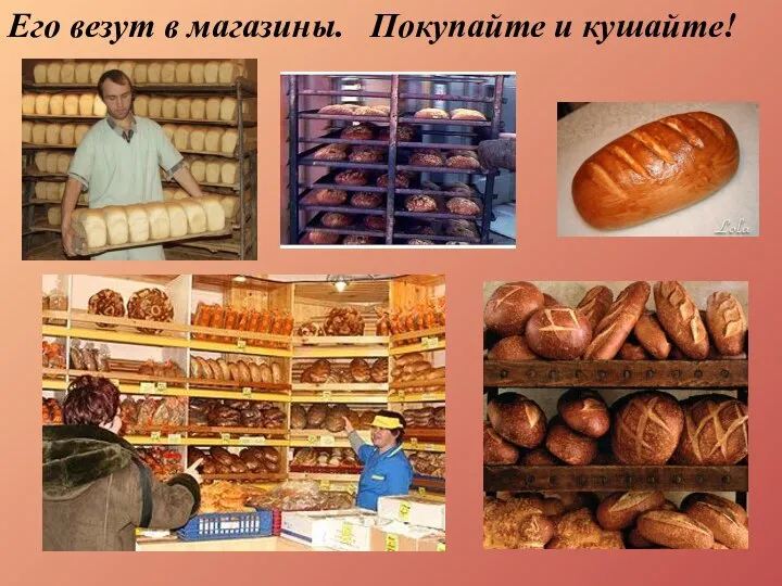 Его везут в магазины. Покупайте и кушайте!