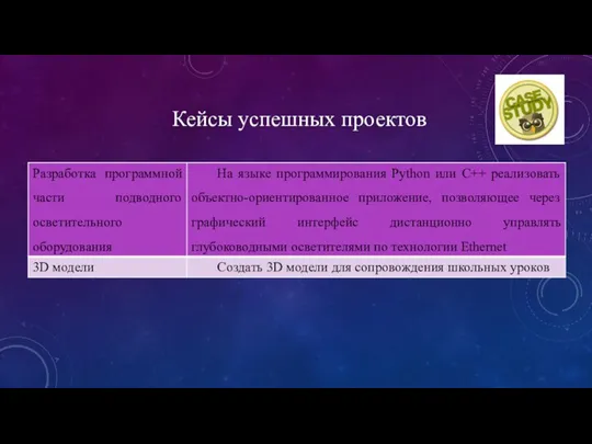 Кейсы успешных проектов