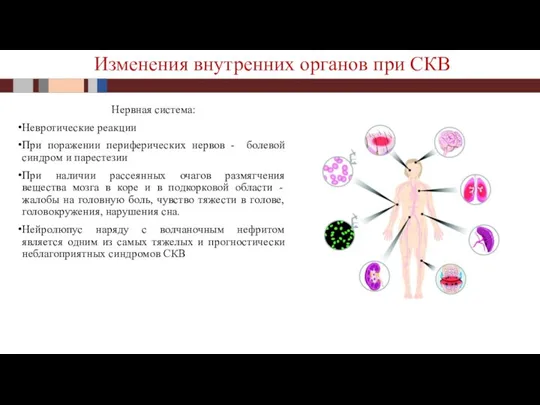 Нервная система: Невротические реакции При поражении периферических нервов - болевой синдром и