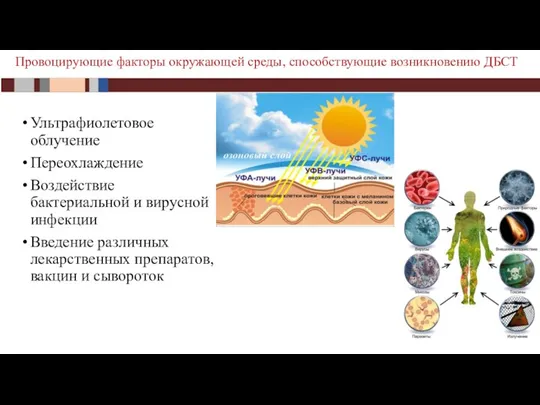 Ультрафиолетовое облучение Переохлаждение Воздействие бактериальной и вирусной инфекции Введение различных лекарственных препаратов,