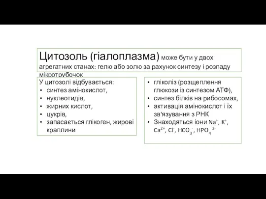 Цитозоль (гіалоплазма) може бути у двох агрегатних станах: гелю або золю за