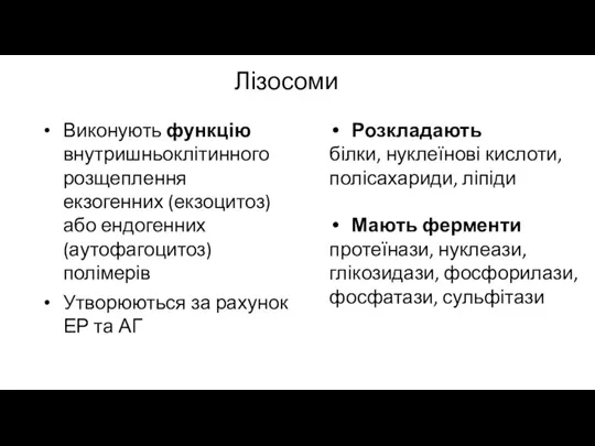 Лізосоми Розкладають білки, нуклеїнові кислоти, полісахариди, ліпіди Мають ферменти протеїнази, нуклеази, глікозидази,