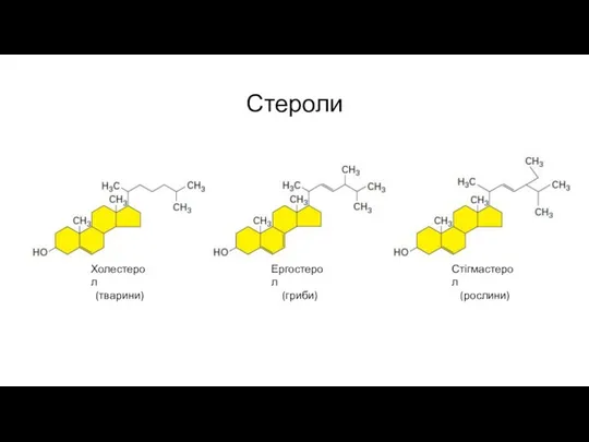 Стероли Холестерол (тварини) Ергостерол (гриби) Стігмастерол (рослини)