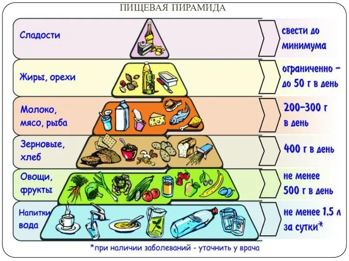 ПИЩЕВАЯ ПИРАМИДА