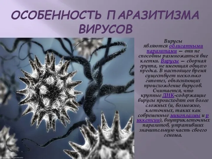 ОСОБЕННОСТЬ ПАРАЗИТИЗМА ВИРУСОВ Вирусы являются облигатными паразитами — они не способны размножаться