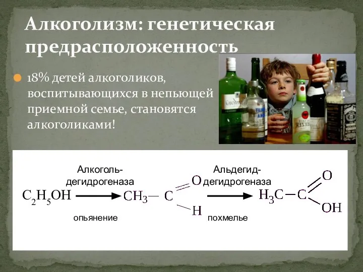 Алкоголизм: генетическая предрасположенность C2H5OH Алкоголь-дегидрогеназа Альдегид-дегидрогеназа опьянение похмелье 18% детей алкоголиков, воспитывающихся